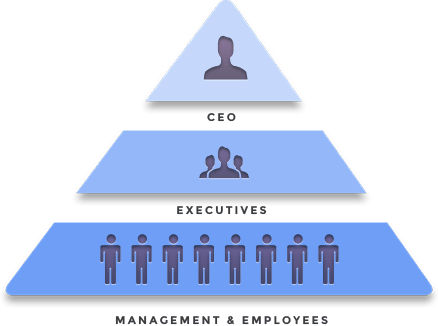 professional organization triangle